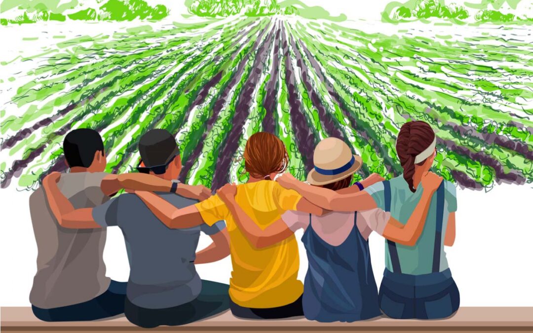 Generación de valor positivo, Terrinches